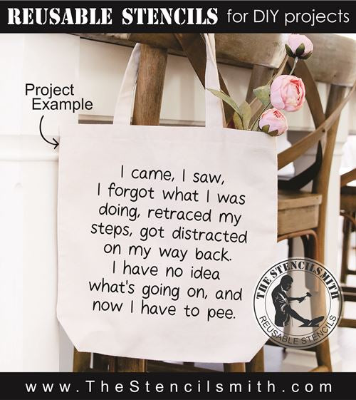 8973 I came, I saw, I forgot stencil - The Stencilsmith