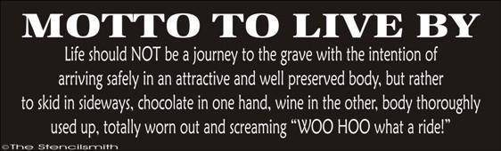 1435 - Motto To Live By ... life should not be - The Stencilsmith