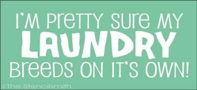 1701 - I'm pretty sure my Laundry ... - The Stencilsmith