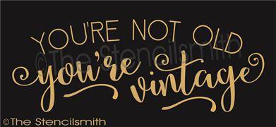 2950 - You're not old You're vintage - The Stencilsmith