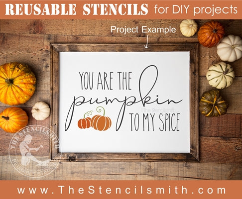 6981 - You are the pumpkin to my spice - The Stencilsmith