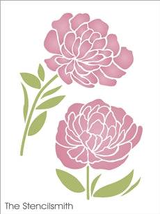 7520 - Peonies - The Stencilsmith