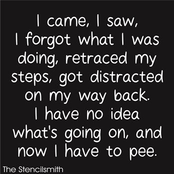 8973 I came, I saw, I forgot stencil - The Stencilsmith