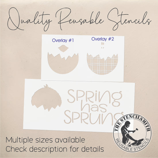 9338 Spring Has Sprung Chick Stencil