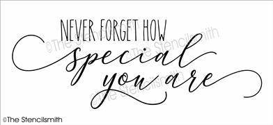 5643 - Never forget how special - The Stencilsmith