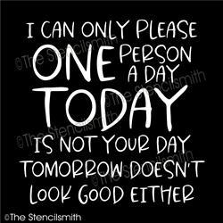 6725 - I can only please one person a day - The Stencilsmith