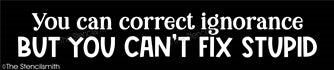 6942 - You can correct ignorance - The Stencilsmith